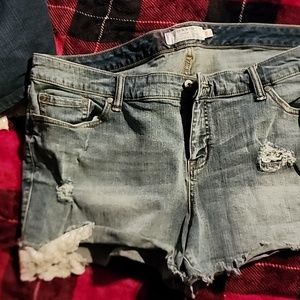 Torrid 22W denim Jean shorts with lace